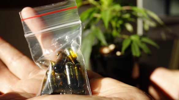 Medicinal cannabis will soon be legalised in Australia.