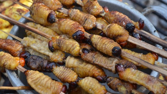 Suri, an Amazonian grub that feeds on palm sap, grilled and served as a snack food in Iquitos.