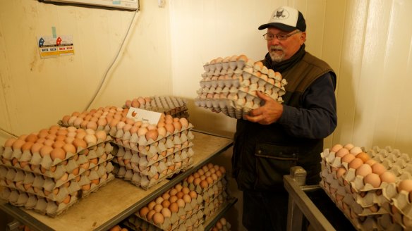 Time to sell: Mark Killen is closely involved with the eggs and thousands of them are freighted to Sydney every week.