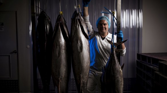 James Marinopoulos, co-owner of Red Coral Seafoods with prime Mooloooolaba yellowfin tuna. 
