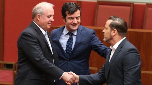 Greens senator Peter Wish-Wilson, born in Singapore is congratulated by Nationals senator John "Wacka" Williams and Iran-born ALP senator Sam Dastyari. 