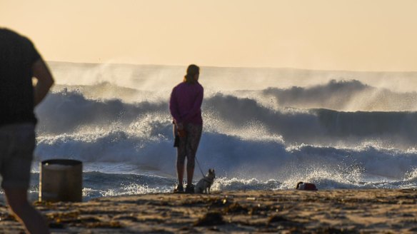 Most of the heat the earth has gained has gone into the oceans.
