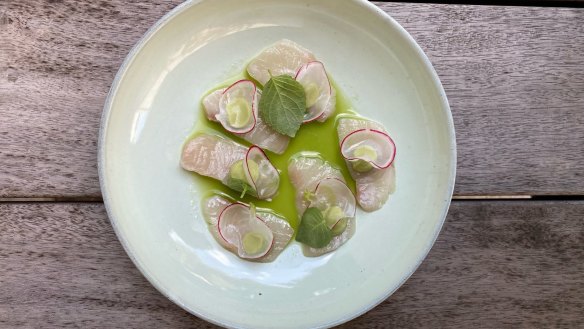 No. 7 restaurant in Healesville's kingfish ceviche made with aguachile