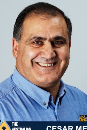 State Labor MP Cesar Melhem.