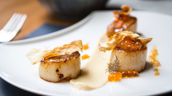 Scallops with cauliflower.