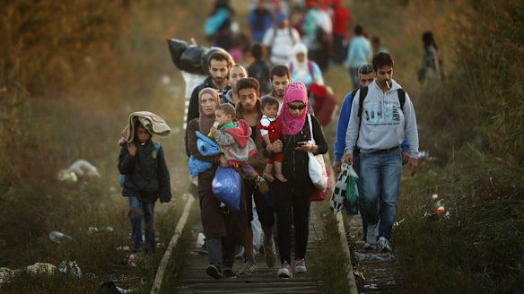 Migrants make their way through Serbia, near the town of Subotica, towards a break in the steel and razor fence erected on the border by the Hungarian government last year.