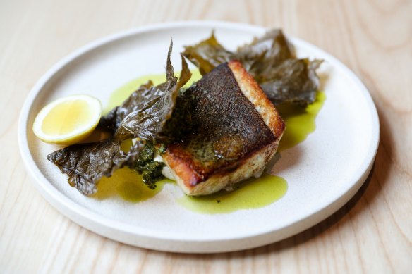 Murray cod with macadamia, vine leaf, salsa verde at Nomad Up The Road.