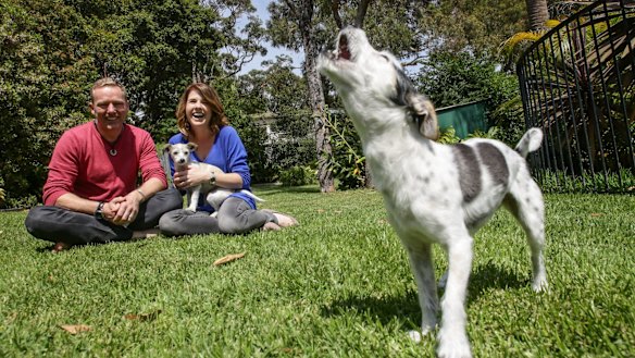 Kate Banister with their Jack Russell dogs Saffy and Ruby.