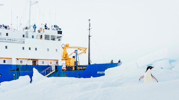 Blizzards and massive icebergs worsened the Akademik Shokalskiy’s Antarctic plight.