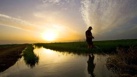 The Ombudsman's report lifts the veil on a decade of patchy – if not worse – enforcement of NSW water regulations.