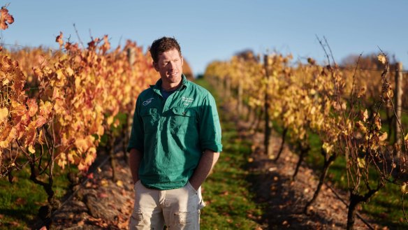Second generation winemaker Nick Farr in the vineyards of Wine by Farr.