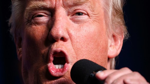 Republican presidential candidate Donald Trump speaks during a campaign rally.