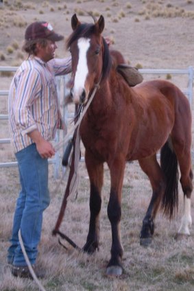 Murder victim Ben Green, with one of the horses he loved.
