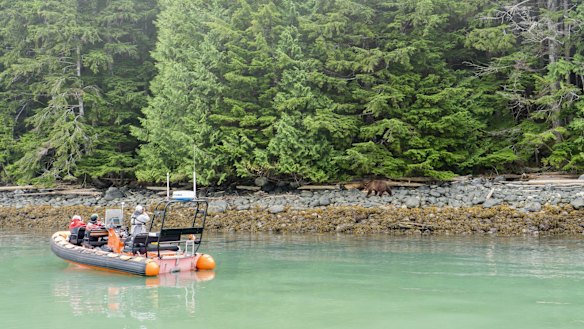 Cruising the bays and inlets carved into the coast of Vancouver Island. 
