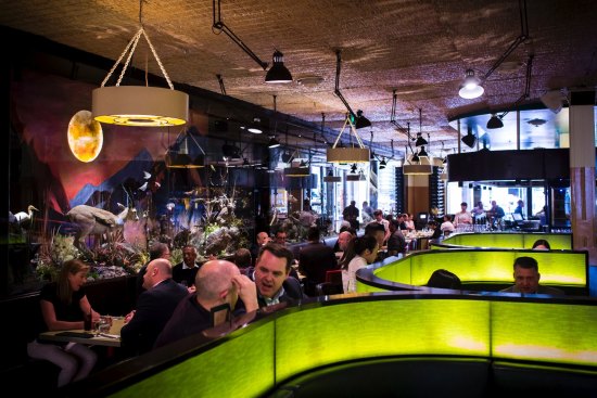 Lightbox-topped booths inside the not-so-subtle Natural History Bar and Grill.