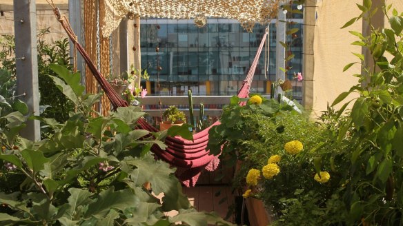 The roof garden at Mesa Verde restaurant and bar, Melbourne.