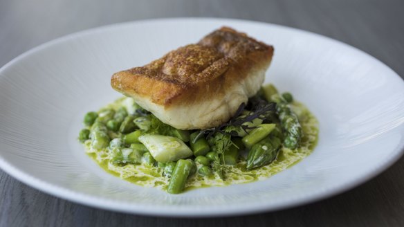 Coral trout is served crisp-skinned atop peas and asparagus.