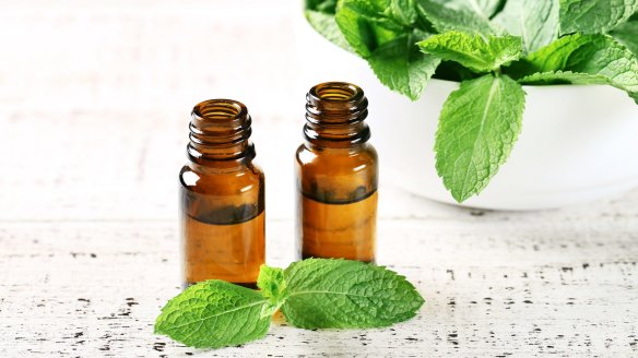 Peppermint has a relaxant effect on the muscles in the gut.
