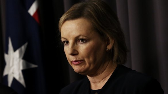 Health Minister Sussan Ley has a lot on her plate.
