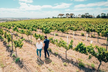 Unsung wine region closer to the city than Yarra Valley
