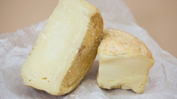 Stinky 'Hooligan' cheese lives up to its name.