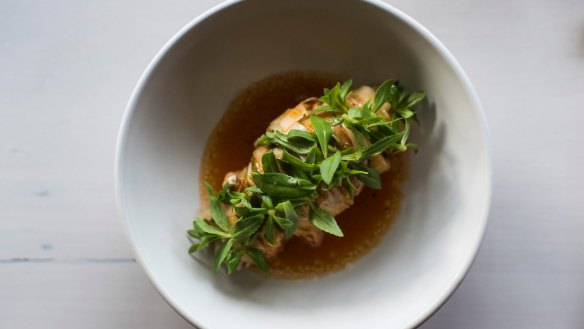 Calamari with kohlrabi, rice paddy herb and fermented tomato at Anchovy.