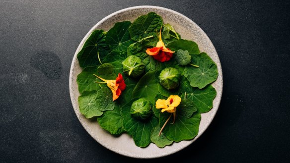 Nasturtium dumplings feature the leaves wrapped around a filling of Tasmanian tofu and kimchi.
