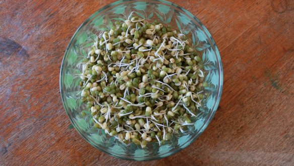 Mung beans - coming soon to a burger near you. 