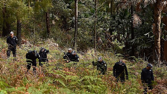 Police conduct a line search in the Royal National Park for the remains of Matthew Leveson.