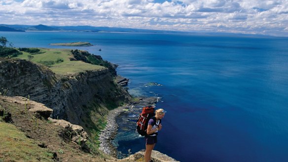 Maria Island, Tasmania. Tranquil bays, dramatic cliffs and verdant rainforests are among the many landscapes to discover on this beautiful Tasmanian island.