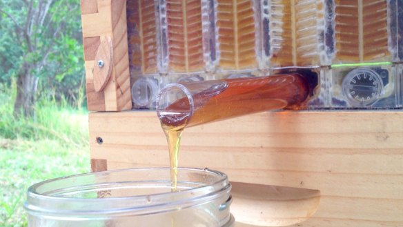 The Flow Hive taps into the hive and drains honey, without having to stress out the bees.