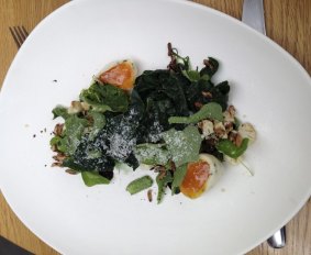 Garden brassicas and cauliflower.