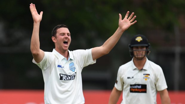 Mixed emotions: Josh Hazlewood picks up the wicket of Hilton Cartwright in the Sheffield Shield game. Which is good for the bowlers, but does nothing to solve Australia's problem at No.6.