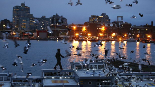 Artist Duke Riley rouses some of the 2,000 pigeons wearing LED lights to fly above their coops on board the Baylander, a decommissioned naval ship docked at the Brooklyn Navy Yard.