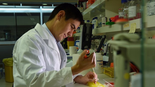 Lindsay Wu at work in the lab at UNSW, Sydney. 