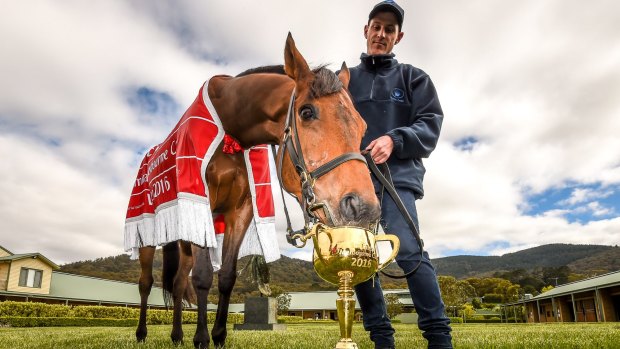 Almandin, winner of the 2016 Melbourne Cup, with strapper Joe Flannery.