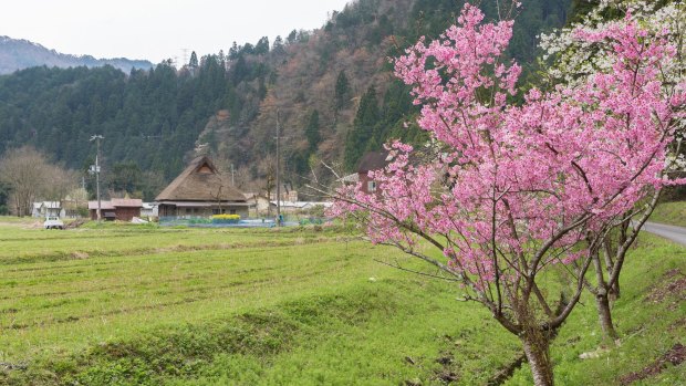 Rural landscape of Historical village Miyama in Kyoto, Japan.