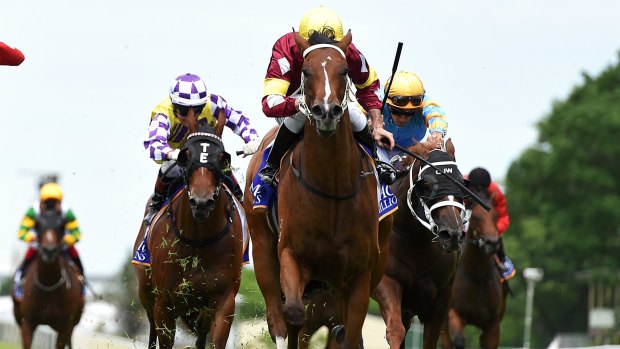 Earning her stripes: Epaulette filly Meryl wins the group 3 Bruce McLachlan Stakes at Doomben.