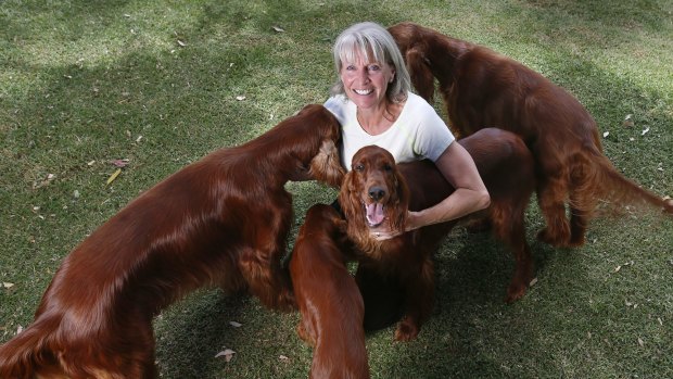 Irish setter breeder Diane Anderson. 