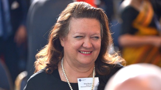 Rinehart has said she hopes to build up an agricultural holding. 