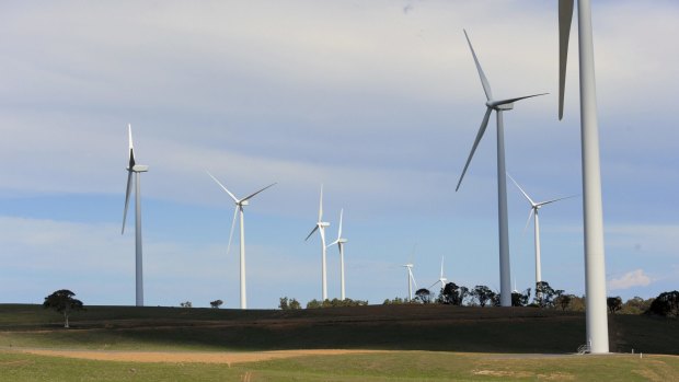 Windfarms like this one at 
Gunning may help halt climate change.