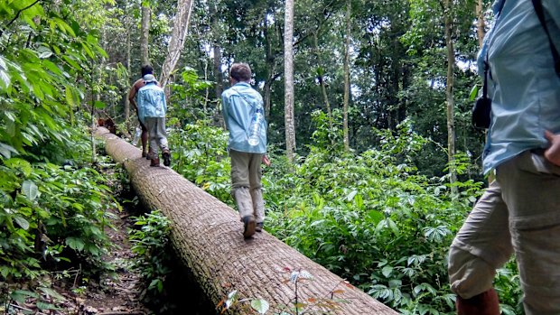 Trekking in the Gunung Leuser National Park with Johan and Udin.