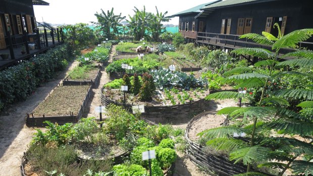 Thahara Inle Heritage School's ample vegetable garden.