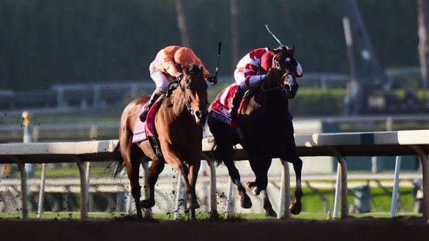 Battle for the ages: Gary Stevens aboard Beholder and Mike Smith aboard Songbird stage a titanic tussle in the Longines Breeders' Cup Distaff.