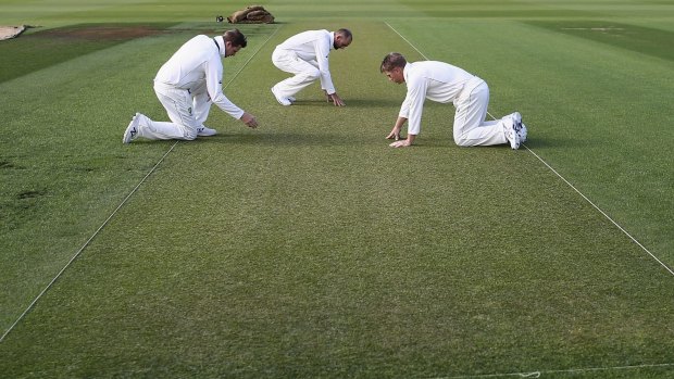 Steve Smith, Nathan Lyon and David Warner inspect the wicket at Basin Reserve the day before the first Test.