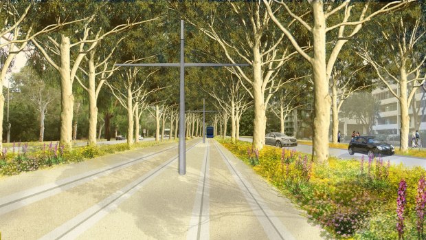 An artist's impression of Northbourne Avenue after the introduction of light rail.