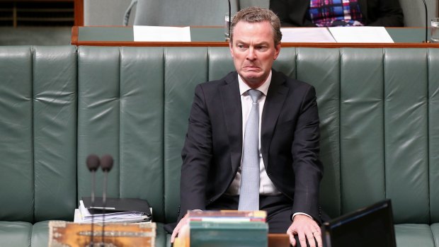 Leader of the House Christopher Pyne grimaced during Question Time.