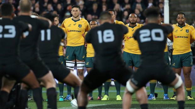 Showdown: The Wallabies watch the Haka during the Bledisloe Cup match between the New Zealand All Blacks and Australia at Westpac Stadium on Saturday.