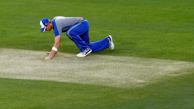 Steve Smith inspects the Gabba wicket.