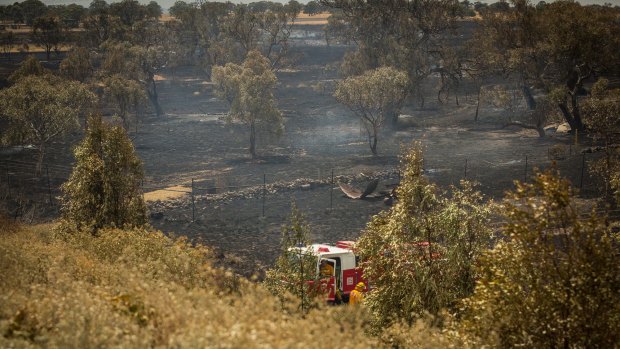 The grassfire at Epping